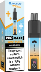 Hayati Pro Max Plus 6000 Puffs Prefilled Pod Vape Kit