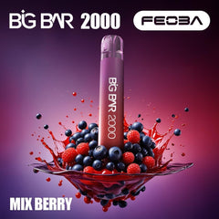 Feoba Big Bar 2000 Puffs - Big Bar 2k Puffs Vape by Feoba - Power Vape Shop