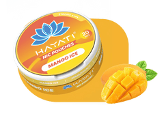 Hayati Nicotine Pouches - Power Vape Shop