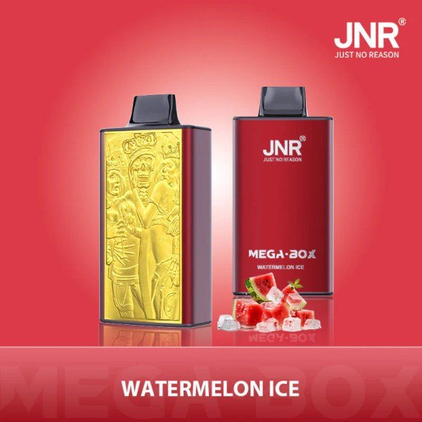 JNR Mega Box 25k Prefilled Vape - Power Vape Shop